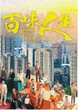 雾港回声 热播剧集免费观看